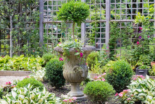Cost of Topiary Pruning in Greeley
