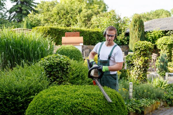 Cost of Shrubs Trimming in Greeley